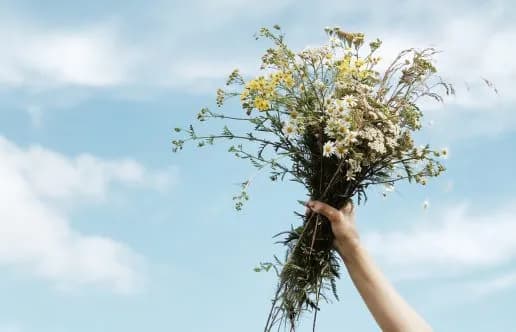 Magiczne zioła, które dodadzą dziczynie niepowtarzalnego smaku i aromatu