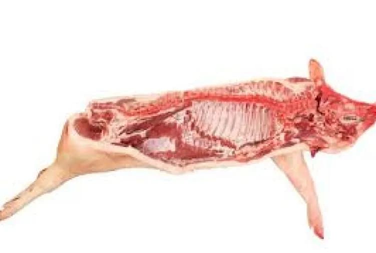 Ile kosztuje półtusza wieprzowa? Ceny, które mogą cię zaskoczyć