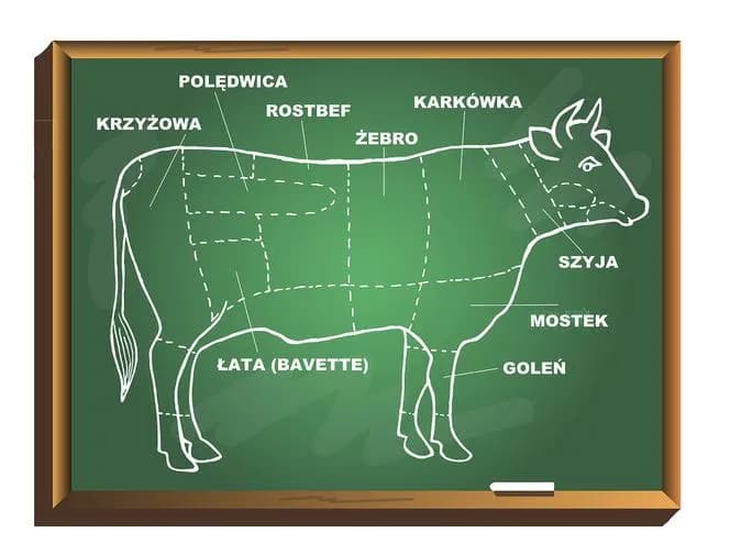 Wołowina skąd pochodzi? Prawda o mięsie, które jesz codziennie