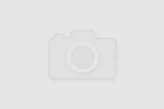 Jak przyrządzić udziec z dzika – przepisy na pyszne dania